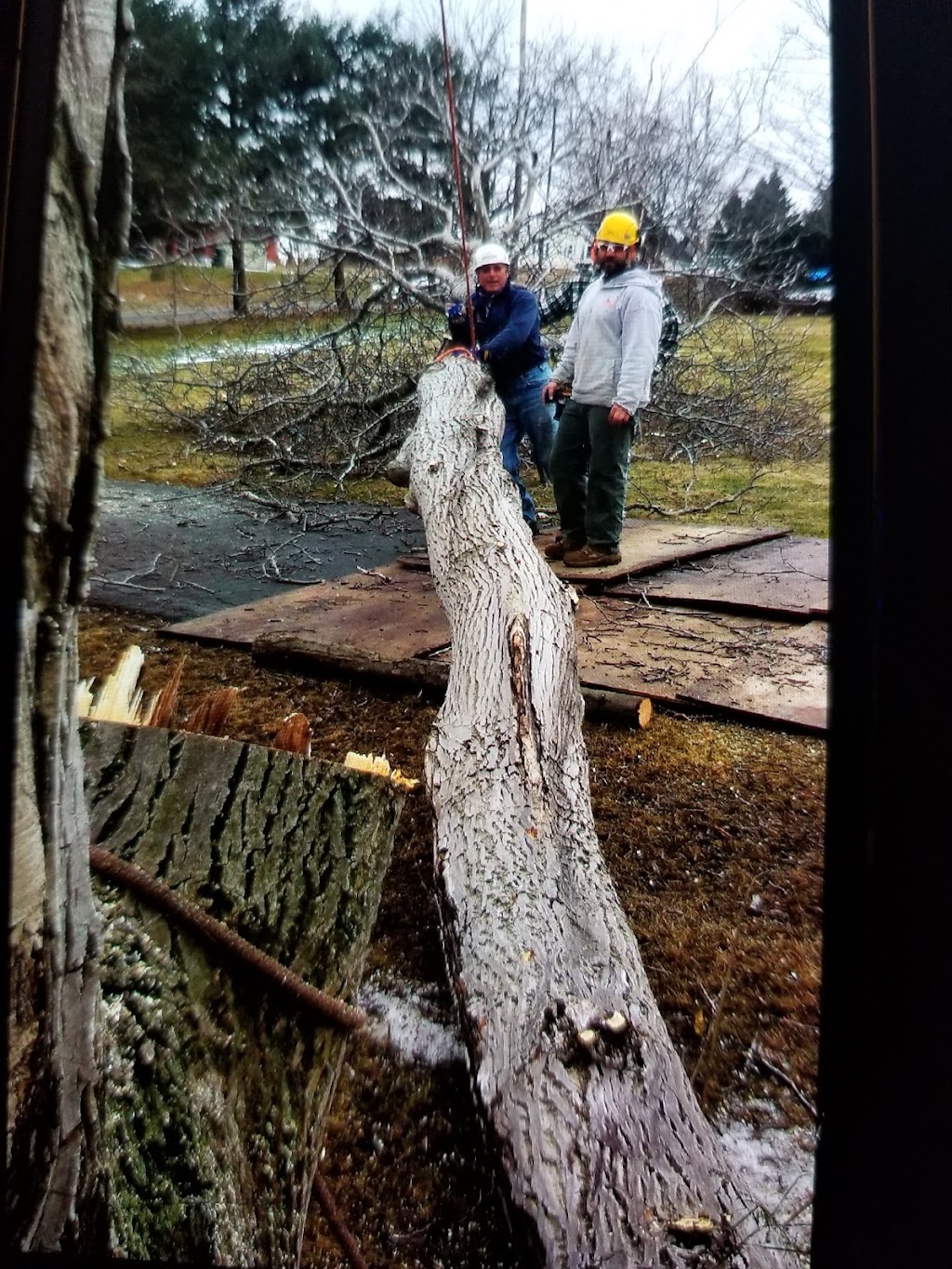 Matt and his crew were outstanding start to finish. We had them remove 4 good size trees. Fast and efficient