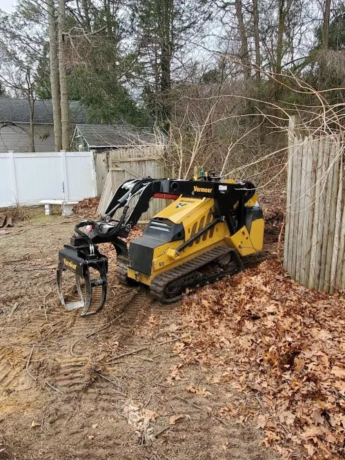 Long Island Lumberjack did such a wonderful job removing some extremely large and tall trees from our property