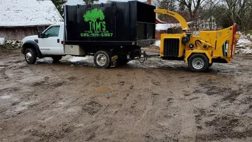 I hired Tim to remove a very Large Maple tree and a Pine Tree along with trimming two other Maple trees