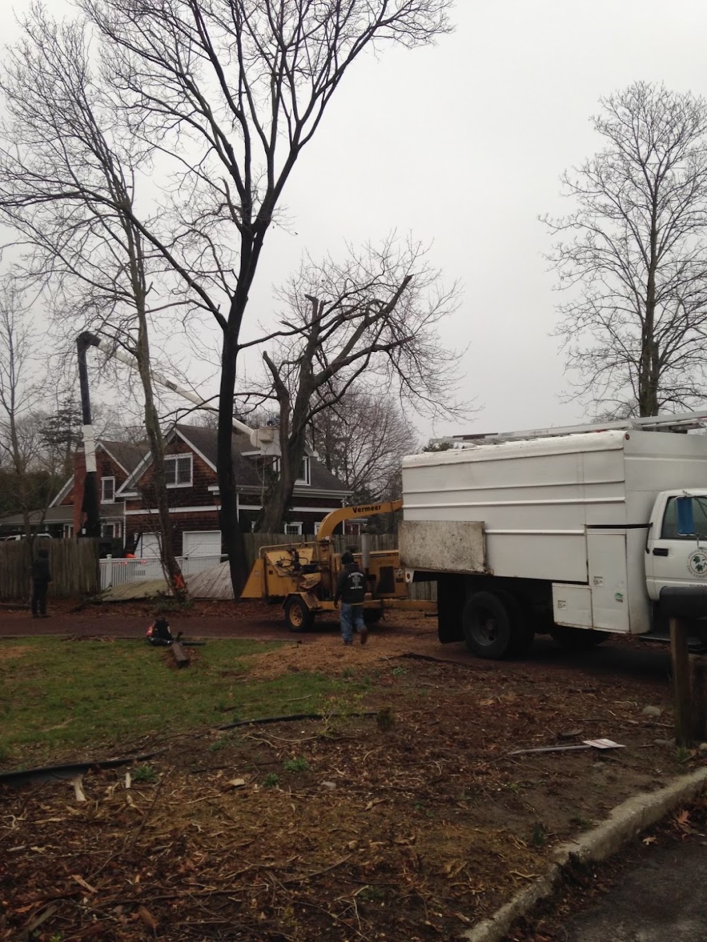 Sprayed for Ticks and cut down a large tree with stump removal. Awesome company, Would Highly recommend