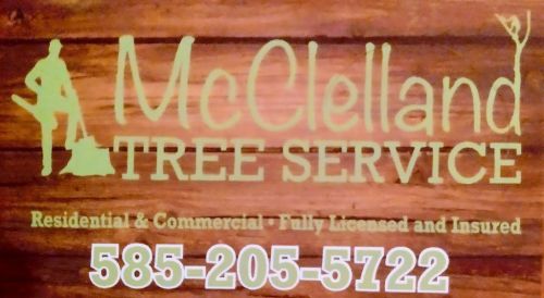  alt='I recommend McClelland Tree Service for any tree limb removal service you may need'