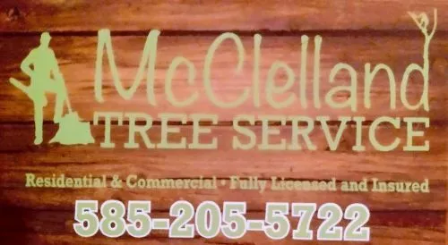 I recommend McClelland Tree Service for any tree limb removal service you may need