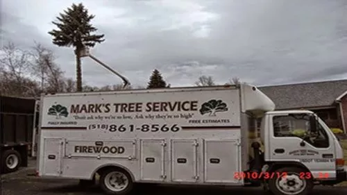 I’ve used Mark’s 3 times for 3 different sized jobs. One of the jobs was very large, 8 large trees that required a crane