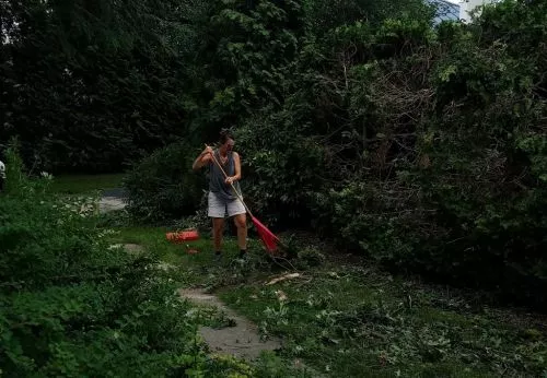 Kroder Tree Service has taken down all types and sizes of trees you can imagine from my property