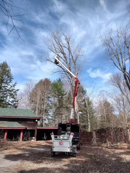 A true family and veteran owned business. Jon took care of 2 very large trees for me that were located 5ft away from two