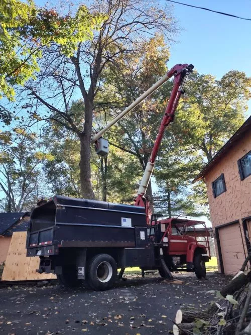 Had Jon come up and take some trees down for me. Called to get an estimate and within a few days the job was done