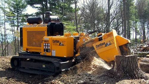 We had a large tree stump that we needed to remove. Initially, we considered renting a stump grinder but decided to hire