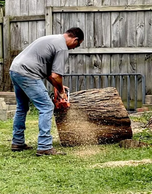 A-1 Tree Service is exceptional! They have removed many trees for me and my neighbors