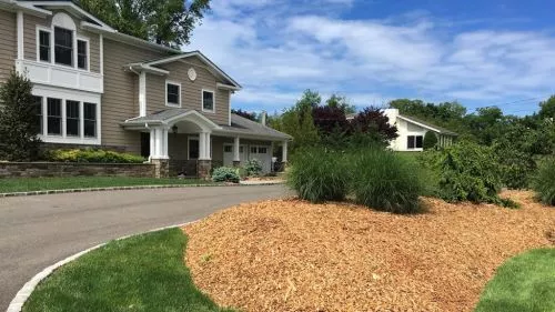 Jose and his very large crew eradicated our extensive bamboo problem