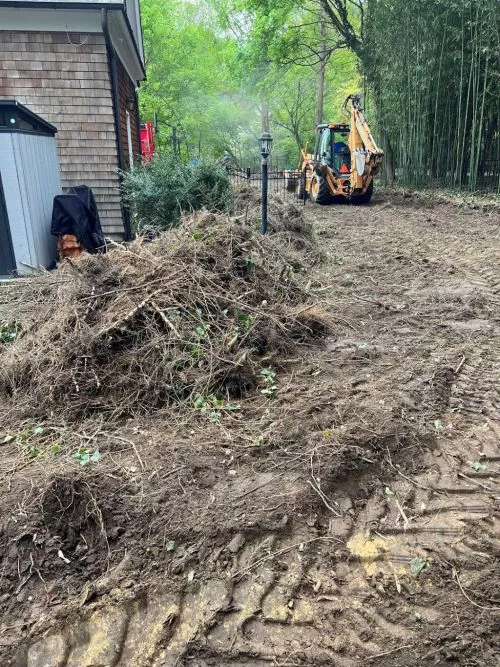 Bamboo removal in Nassau County, ideal from estimate to job completion. Fair price. Efficient hard working crew