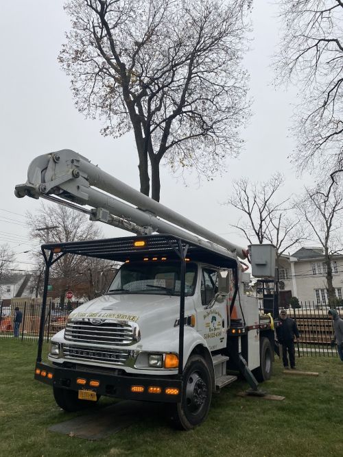  alt='The Best team you can hire for your tree service. I can’t imagine another company doing better job than New York Tree &'