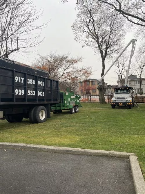 The Best team you can hire for your tree service. I can’t imagine another company doing better job than New York Tree &