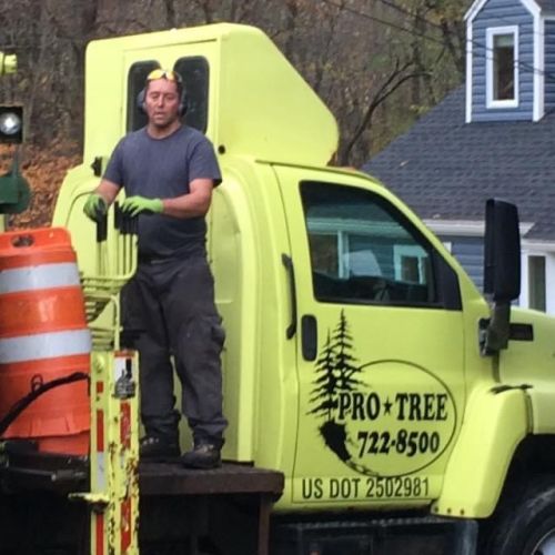  alt='Pro Tree has provided exceptional service for years for my family and friends'