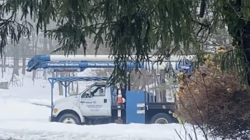 Hawthorne did a great job trimming an 18 ft hemlock hedge and pruning a row of 50 ft trees. 