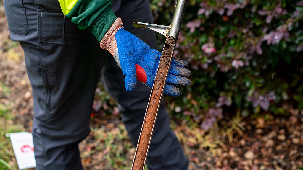 We would not dream of using anyone other than Matt and Bartlett for all of our tree work. They are superb. 