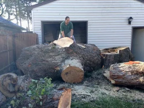 My neighbors and I used Action Tree care to have 2 large trees removed. My neighbor signed contract in early May