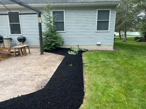 Quick and accommodating! They changed my backyard from the forest it had become into a lawn reminiscent of when I first
