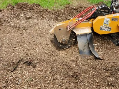 Frank did an excellent job grinding dozens of stumps on a difficult property