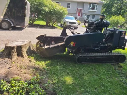 Excellent job for stump removal they arrived on time and got the job done in just a couple hours. Would highly recommend