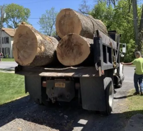 On a Sunday morning we had an enormous deciduous tree fall across the driveway, with a huge canopy blocking the exit