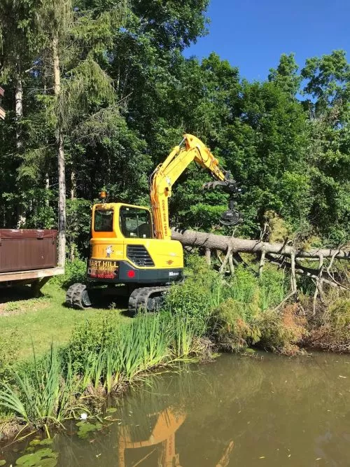 The team at Bart tree hill tree service was professional, kind and extremely hard working