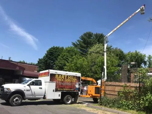 Called looking for Tree service and voice mailbox was full each time I tried calling back