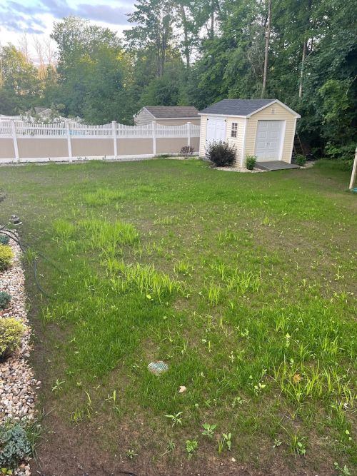 alt='Was recommended to use hydroseeding by the company that installed my French drains in backyard once they did my regrade'
