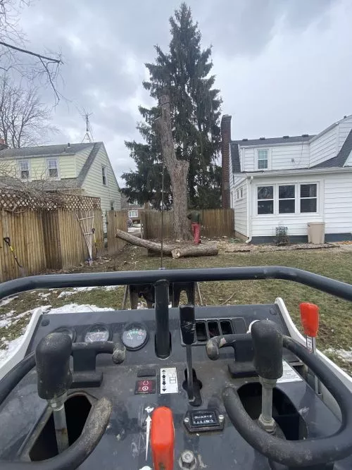 While removing a tree next to our garage, part of the tree fell on the garage causing $1800 damage