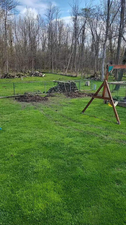 We needed five 60 year old large bush stumps removed. He returned our call quickly, set a visit date, and came ready to do