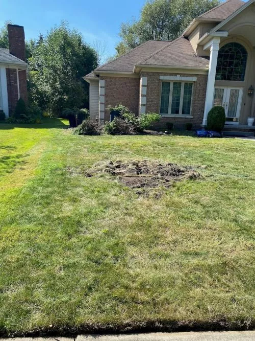 This company did an excellent job! Previous owners of the house did a poor job removing tree and stumps in front yard