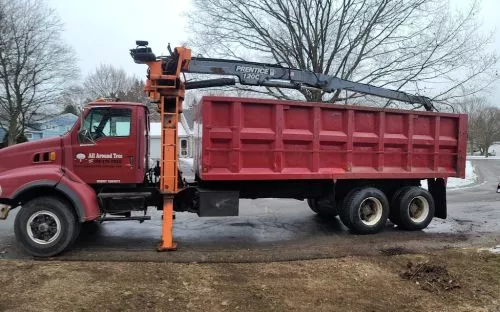 We ran into a big problem while cutting down a tree on my property line and needed help fast