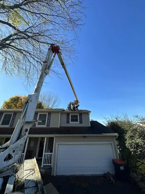 Nick and his crew of Gabe and Greg were over today to tear out an old overgrown flower bed and put down a nice new layer of