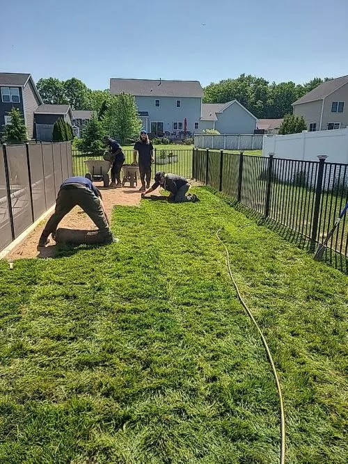 Michael from Brockman’s did a great job treating our lawn today