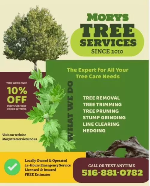 What can I say about Mory"s tree service they recently did a job and they are professionals it was my best choice 100%