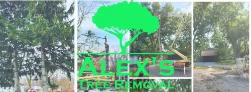 Alex"s Tree Removal helped my parents remove a tree from their property today. We would recommend this company to anyone!!