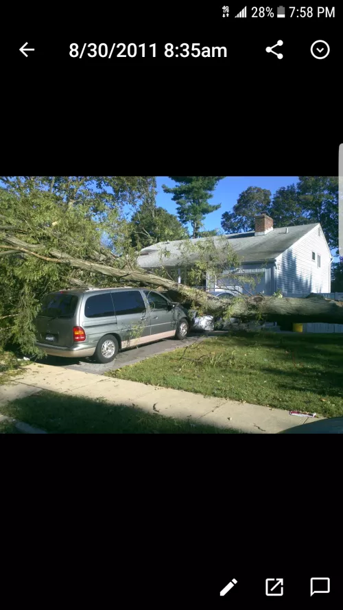 We hired Alex & his crew after I saw the work they did on my father’s yard