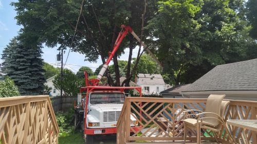  alt='Lets just start with the skill and precision it took to get that gigantic truck into my little back yard'