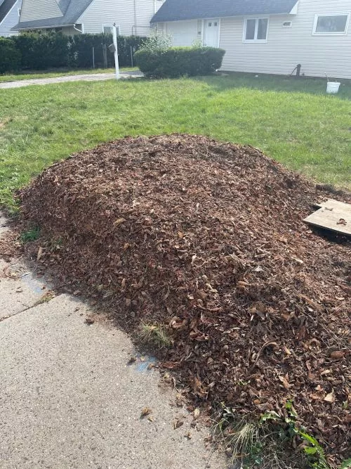 Tom & his men did a great job at my house! They ground a stump & gave my tree a good pruning