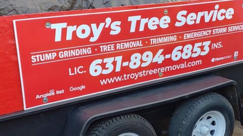  alt='Troy came by and gave me the lowest quote of tree service companies'