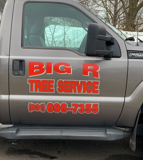  alt='We hired Big R to take down 4 large trees and trim the side of our yard'