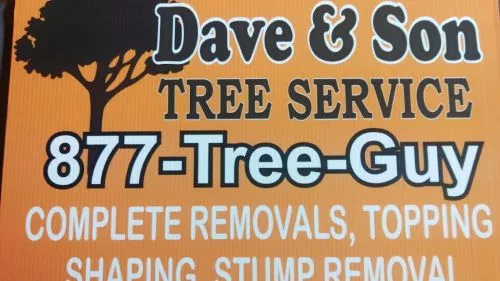 Dave cut down a tree for me a few years ago. Price and timeliness were fine