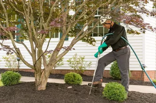 Professional and courteous. Called before they arrived, reliable . Explained the tree and stump removal process to me