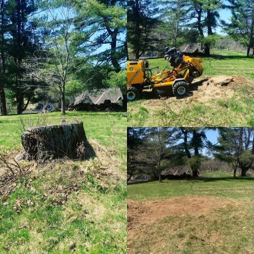  alt='Stump Wrecker was very professional and timely. There were a few trees that had fallen in the Pleasant Valley Meadowlawn'