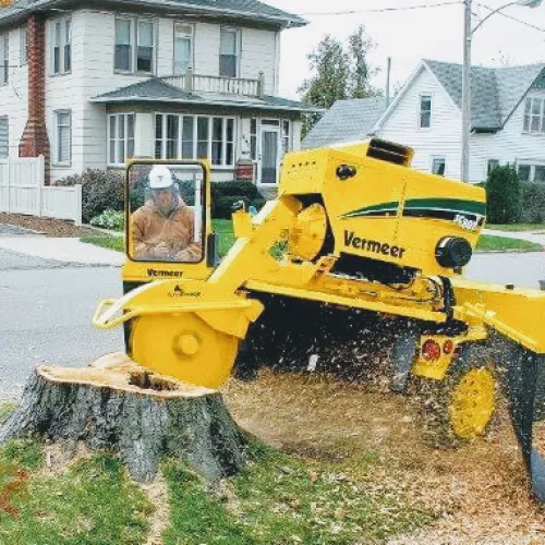 A neighbor"s huge tree fell in my yard during last week"s storm, blocking the entry to my house and causing significant