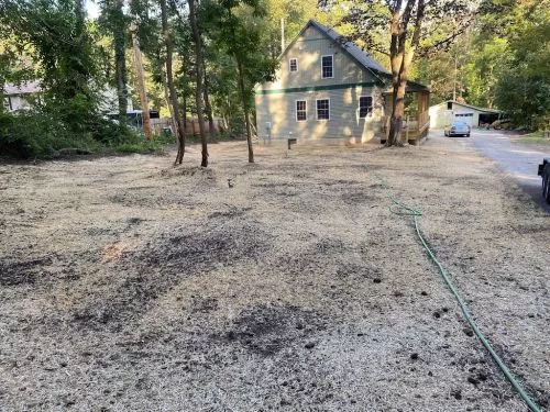 So happy we found this company! They put a beautiful walk-way with pavers in front of our house, and removed an old