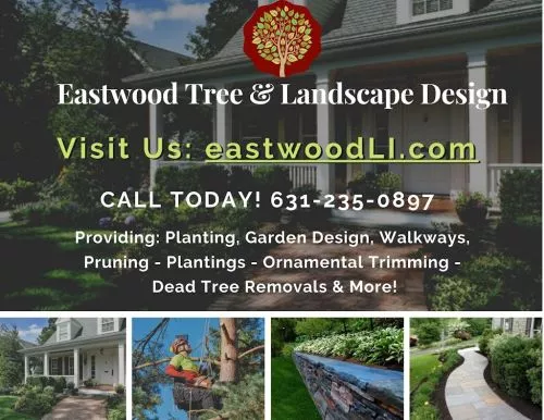 We are very pleased with the extensive tree work done by Karl of Eastwood Tree and his crew