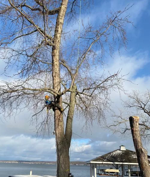 ArborCare was AMAZING! They came out quickly to give me a quote, scheduled the job fast and arrived on time and ready to go