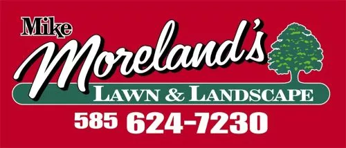 Mike Moreland"s has taken care of our lawn and snowplowing needs for years. They do a great job. 