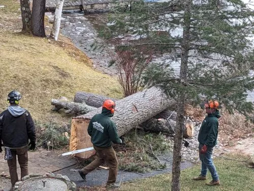 We had the team at High Peaks tackle a large project at our commercial property in Lake George involving about 18 trees and