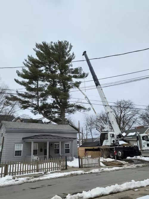 High Peaks Tree Removal was great! I called for a quote and within the week, they had the job done